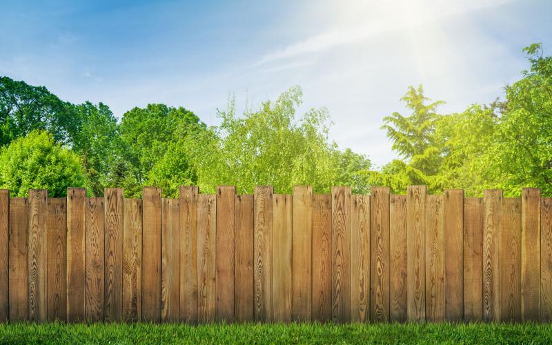 Azienda Agricola Streri | Privacy